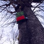 Sac à dos de printemps